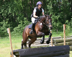 Dr. Martina Reemtsma und Löwenstein wurden in der CIC1*-Prüfung in Bad Segeberg Vierte. Fotos: Jutta Wego